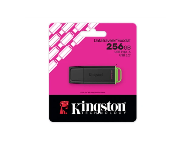 KINGSTON 256GB DataTraveler Exodia 2 USB 3.2 Gen2 DTXG2256GB 