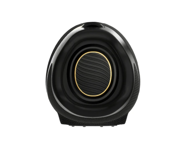 HISENSE FlexBoom prenosni Bluetooth zvučnik 